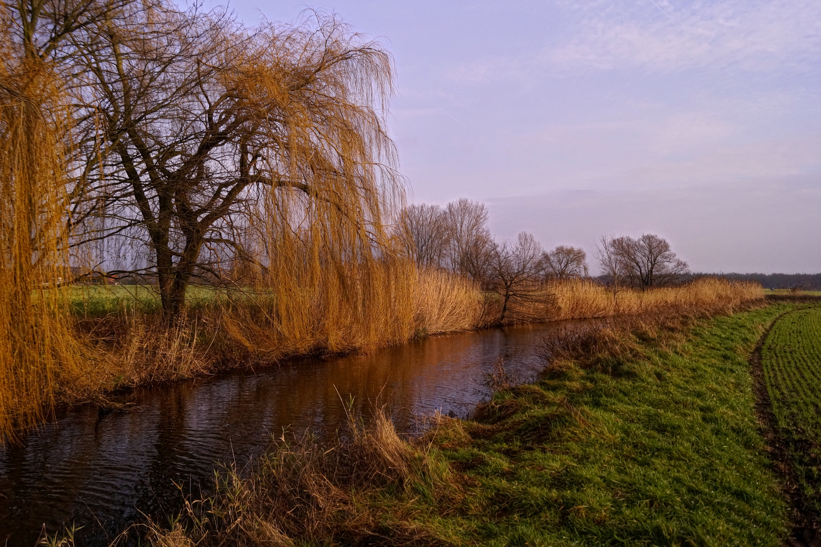 Winter 2015 in Norddeutschland