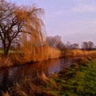 Winter 2015 in Norddeutschland