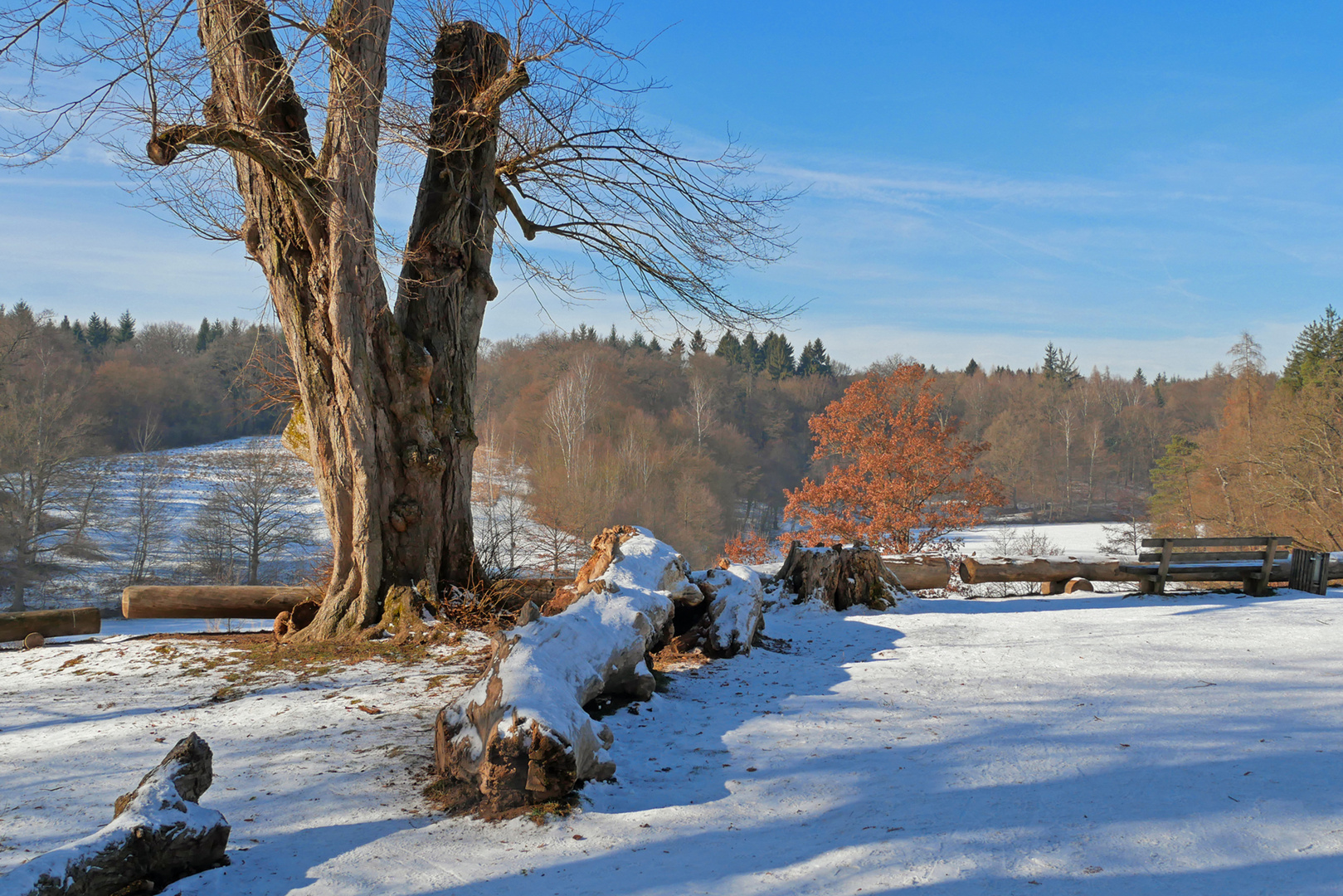 Winter 2017 am Bärensee