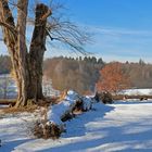 Winter 2017 am Bärensee