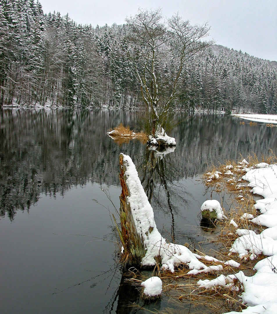 Winter 2017 an der Saale