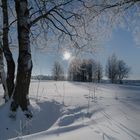 Winter 2017 in Hammerbrücke/Vogtland