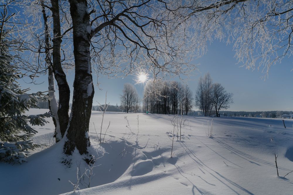 Winter 2017 in Hammerbrücke/Vogtland