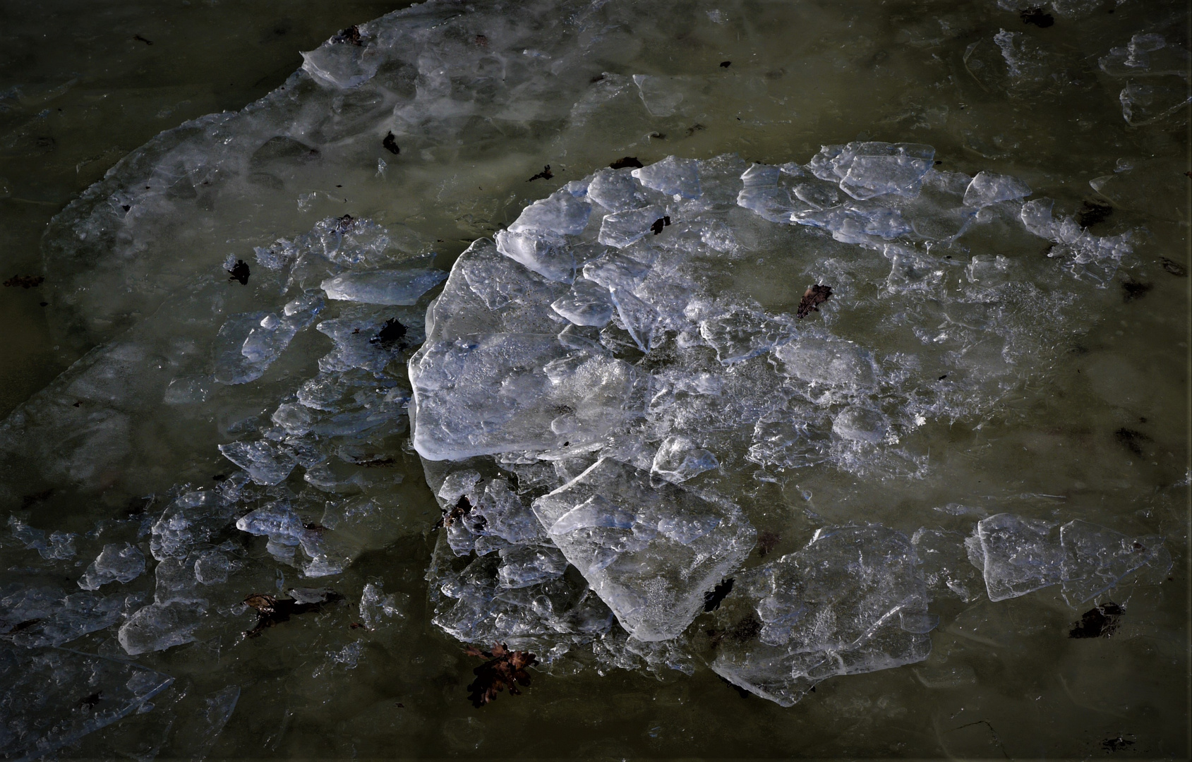 Winter 2018 - Eisscholle  auf dem Dortmund-Emskanal in Münster