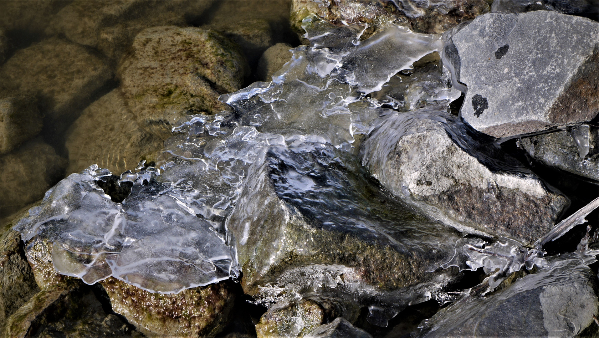 Winter 2018 - Gefrorene Steine am Ufer des Kanals