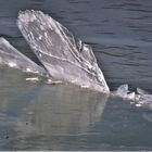 Winter 2018 - kleine Eisberge im Dortmund-Ems-Kanal