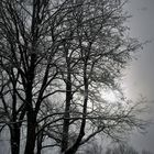 Winter 2019 - Sonne und Schnee 