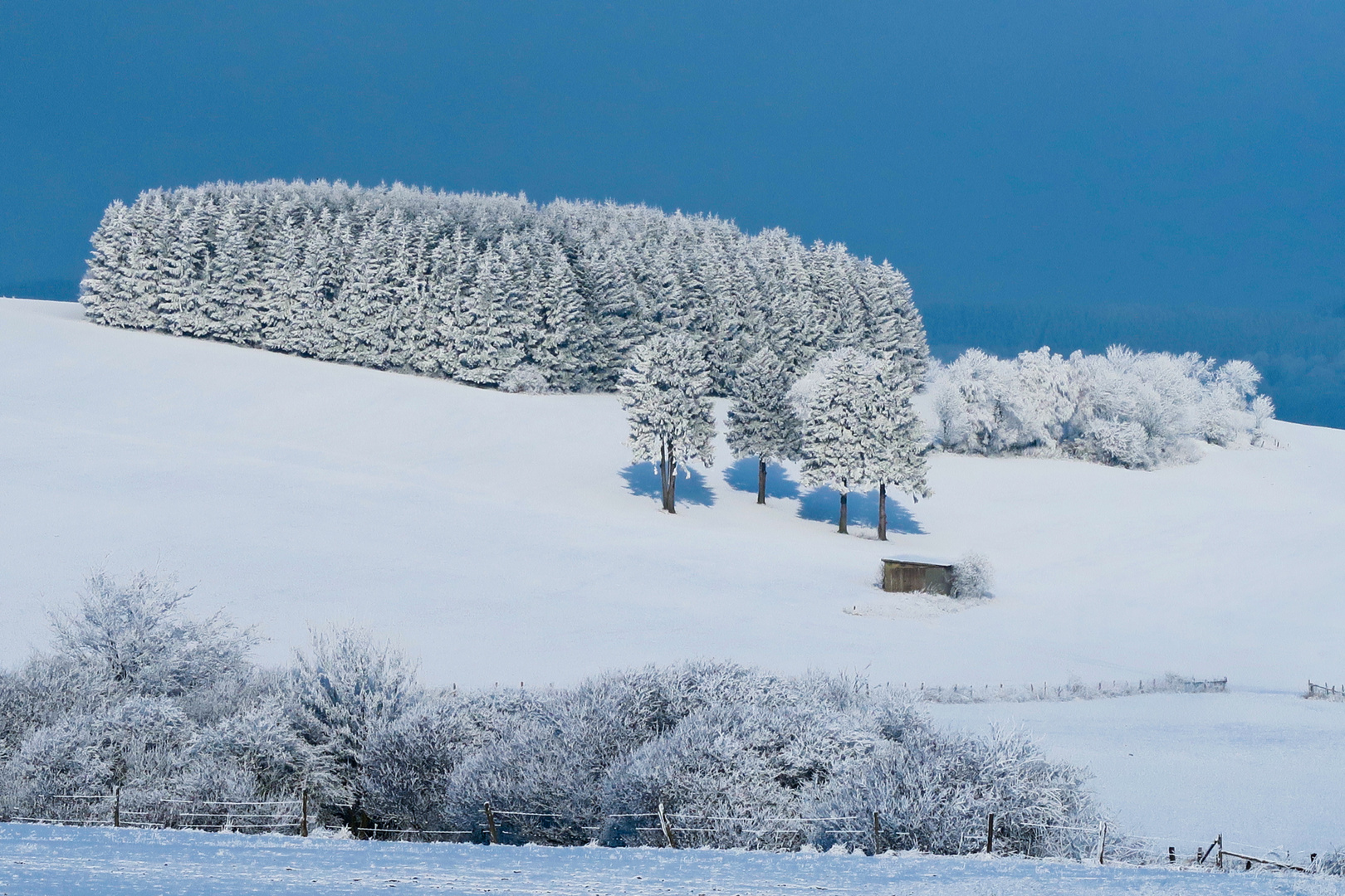 Winter-2019-Willingen