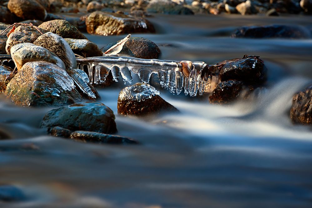 Winter von Arnold Dietmar 