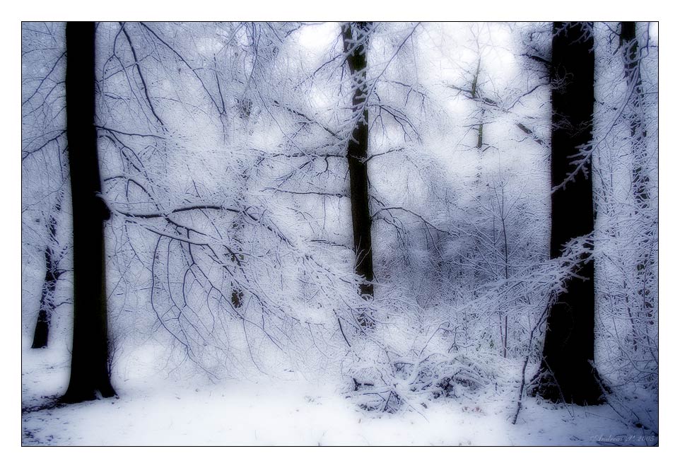 ...::: Winter 3 :::...