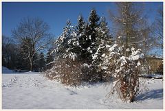 Winter (3)