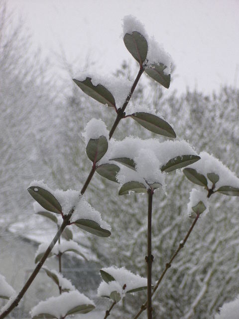 Winter 3.März 2006