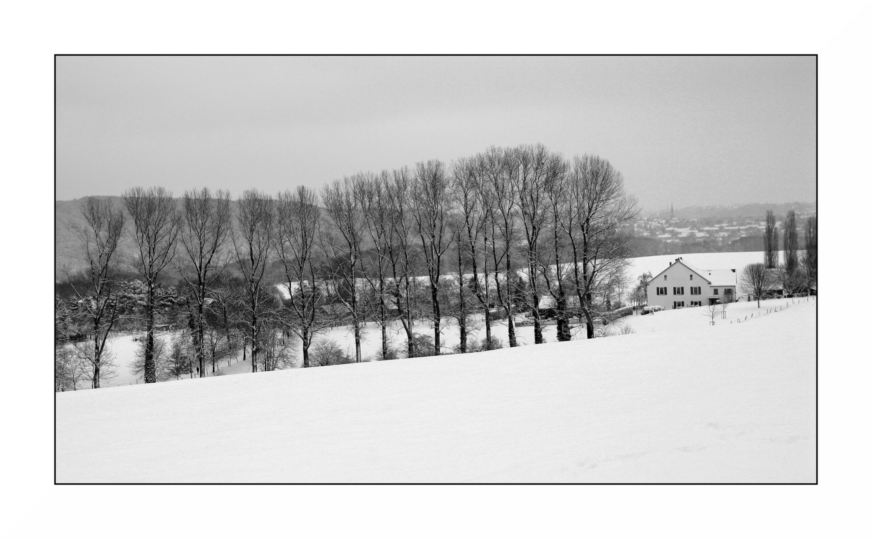 Winter #4