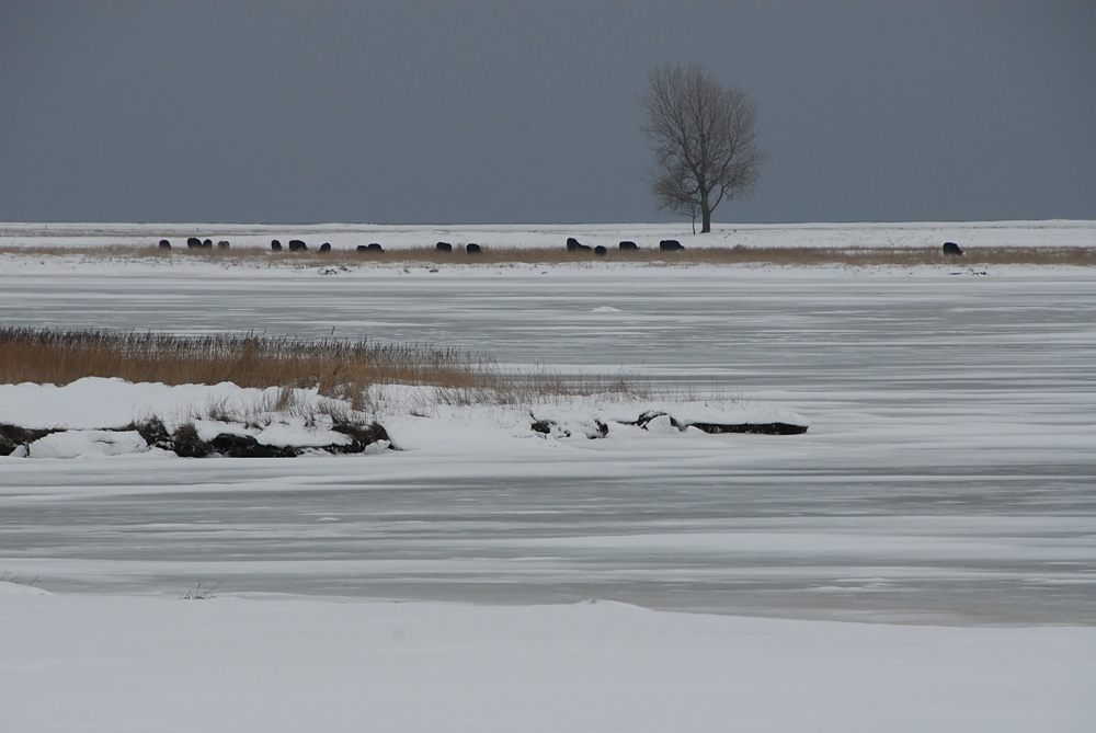 Winter #4 Kälte