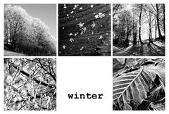 winter