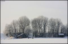 Winter (7)