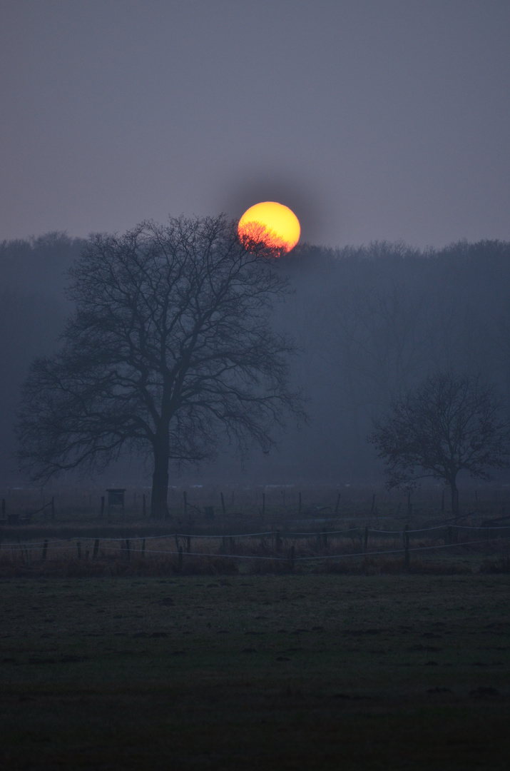 Winter - Abend