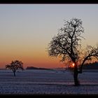 Winter-Abend