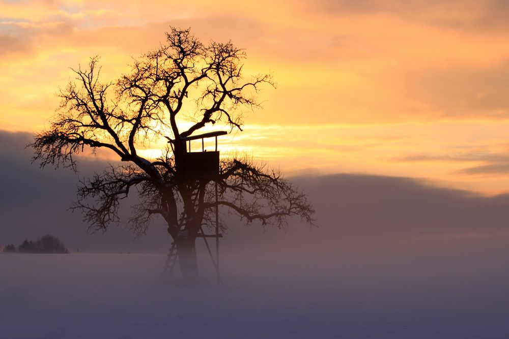 "Winter-Abend-Sonnen-Untergang-Nebel-Stimmung" by Klaus Schmückle 