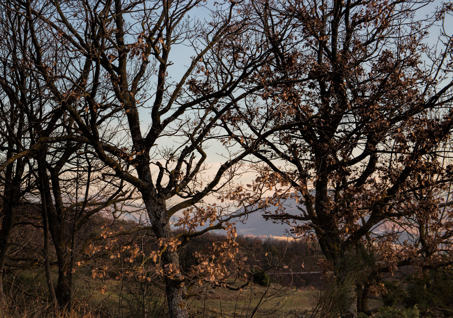 Winter-Abendlicht