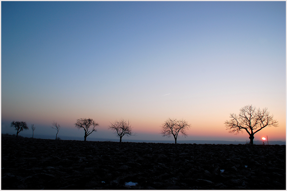 Winter - Abendsonne 2