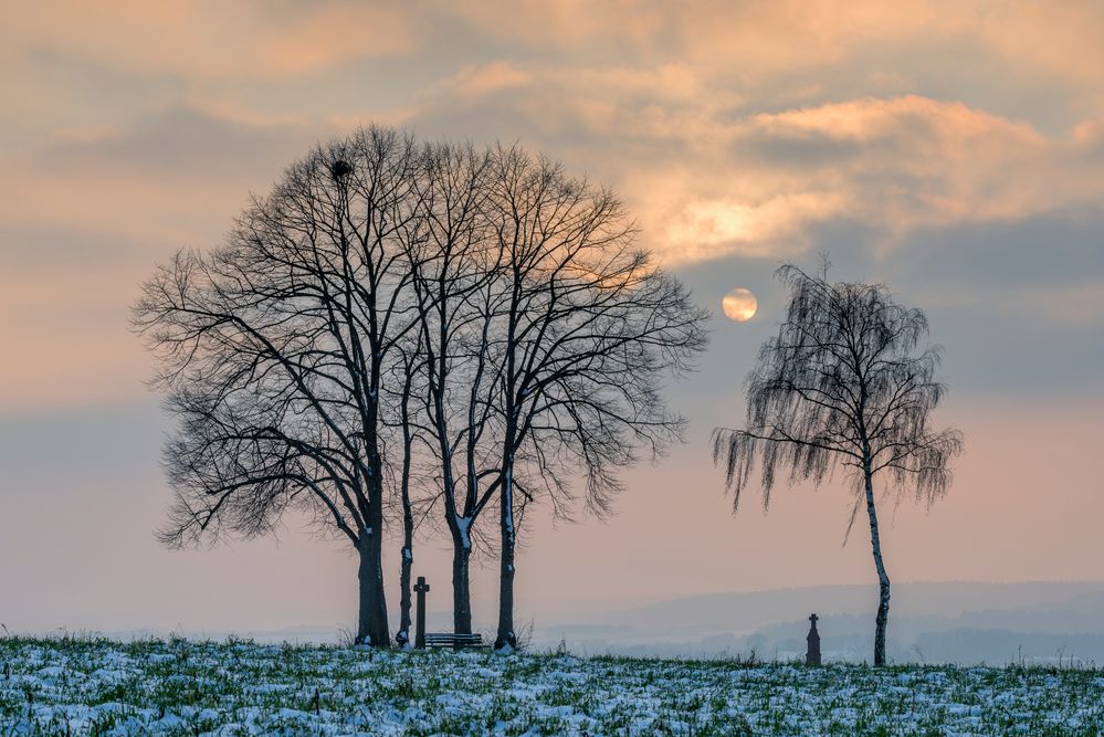 *Winter-Abendsonne im Wittlicher Land*