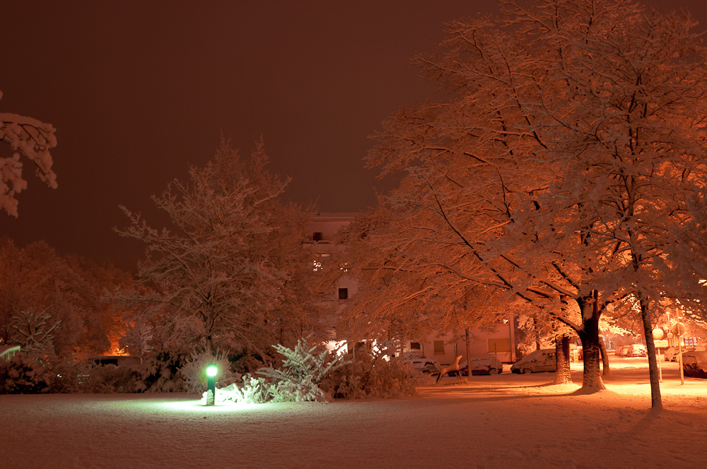 Winter Abschied (4)