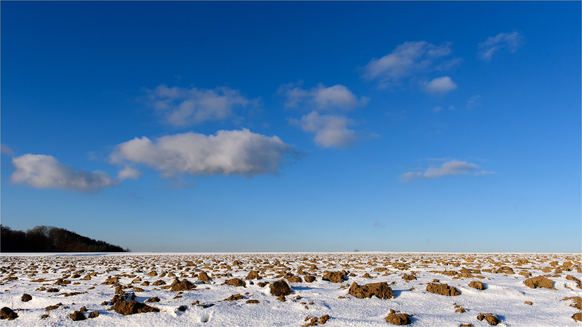 Winter-Acker-Wüste