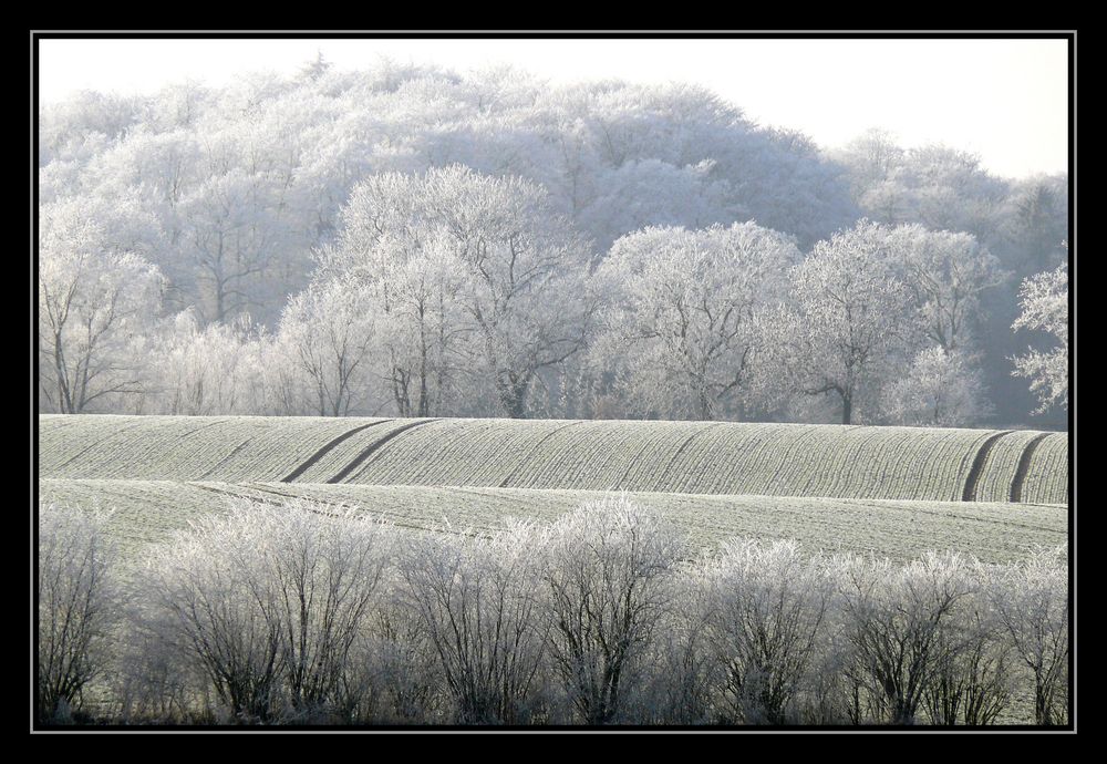 Winter adé