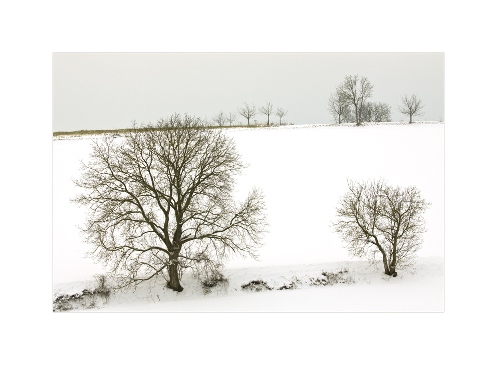 Winter adé