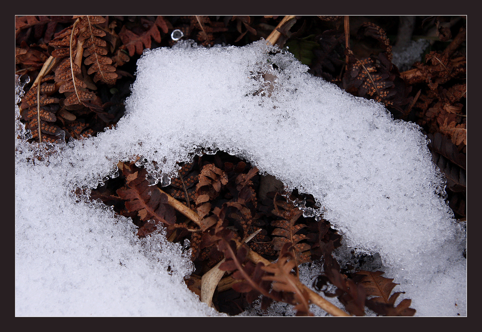 Winter adé...