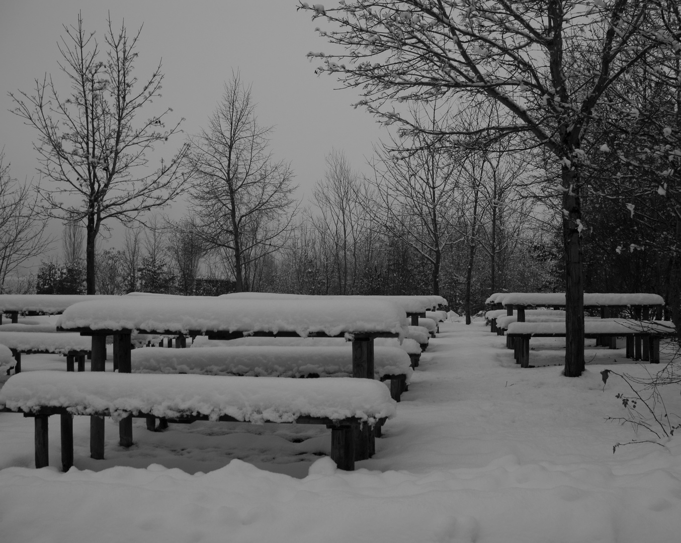 Winter ade, jetzt kommt die schöne Zeit