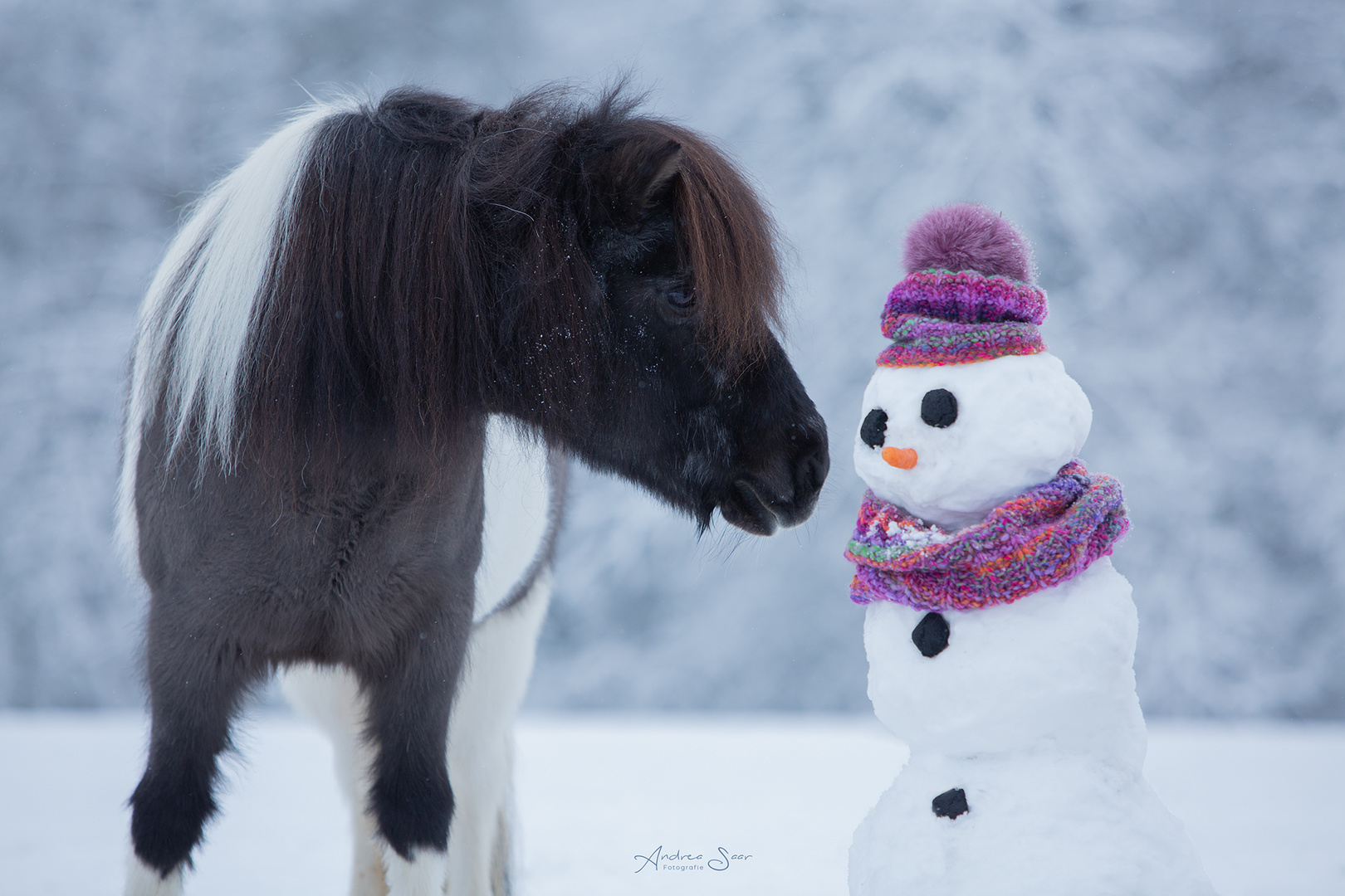 Winter ade... scheiden tut weh...