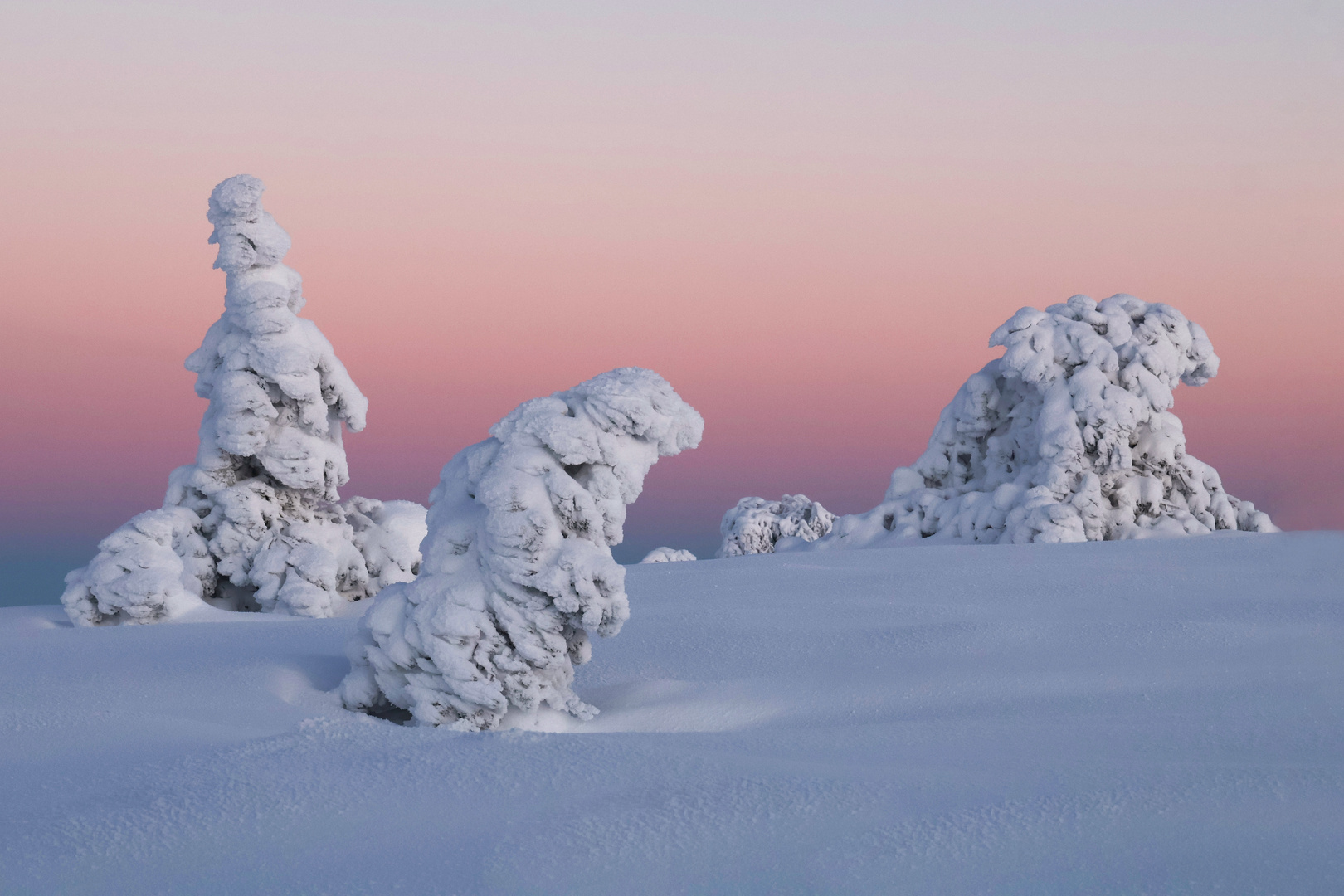 Winter, ade! Scheiden tut weh