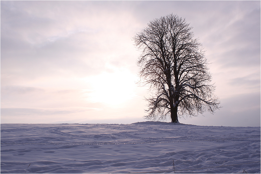 Winter adee !