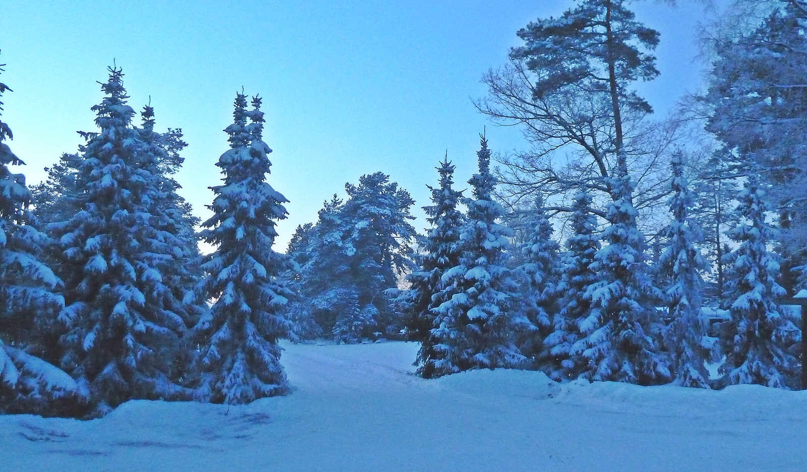 Winter ade,endlich Frühling!