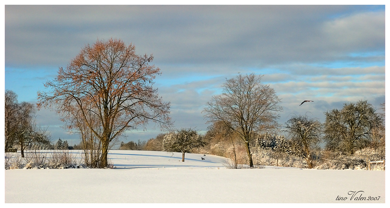 winter afternoon in  - grossdeinbach - south of germany -