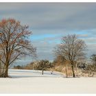 winter afternoon in  - grossdeinbach - south of germany -