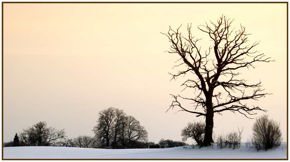 Winter afternoon - Winternachmittag 1