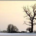 Winter afternoon - Winternachmittag 1