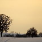 Winter Afternoon - Winternachmittag 2