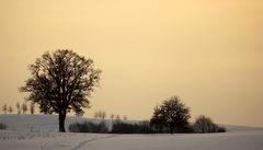 Winter Afternoon - Winternachmittag 2