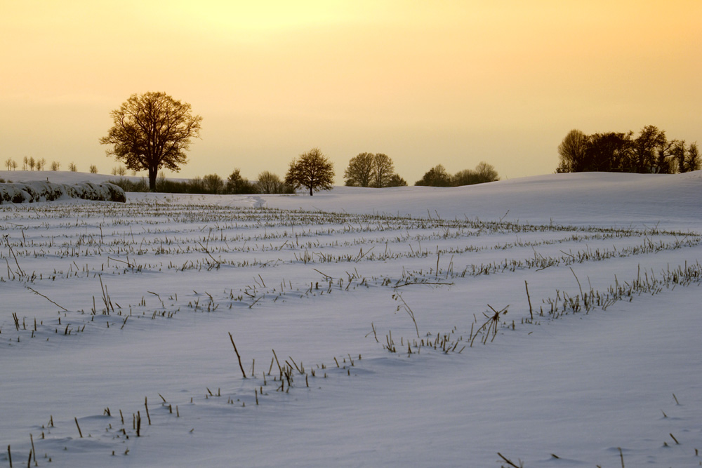 Winter afternoon - Winternachmittag 3