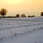 Winter afternoon - Winternachmittag 3