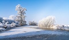 Winter Ahrensfelder Damm-9646