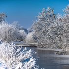 Winter Ahrensfelder Damm-9721