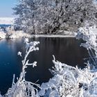 Winter Ahrensfelder Damm-9758