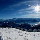 Winter Alpenpanorama