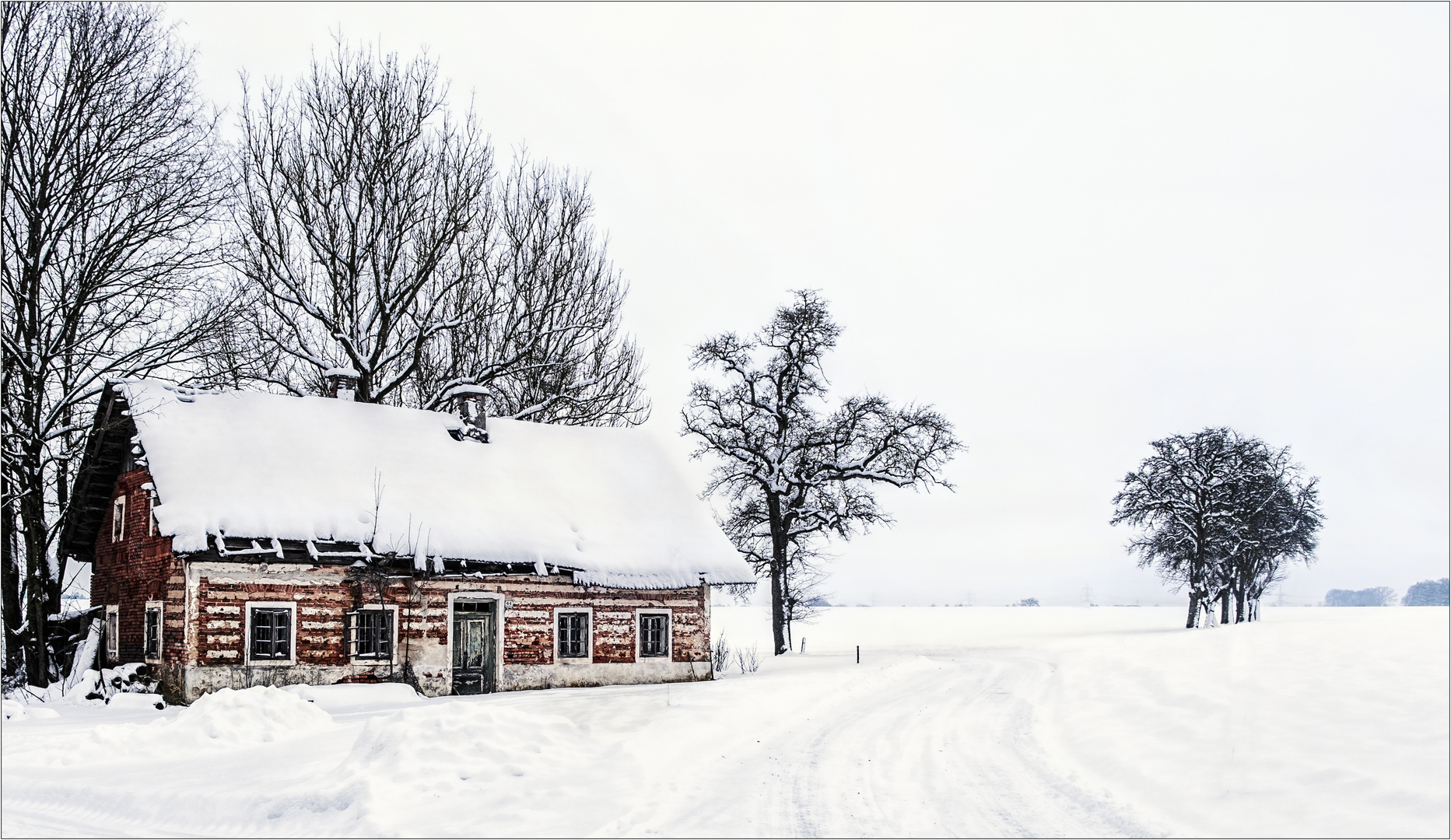 Winter Althaus