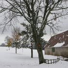 Winter am 31.10.2008 in Deutschland